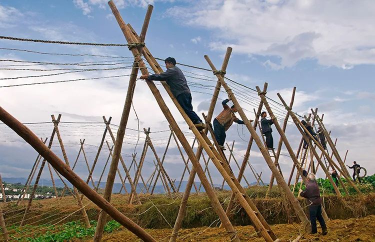 GA黄金甲(中国游)最新官方网站